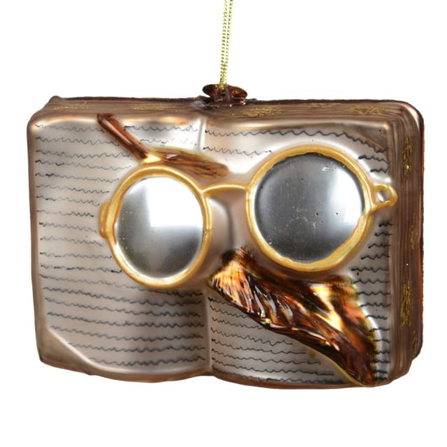 Ёлочная игрушка Книга с очками Kaemingk  