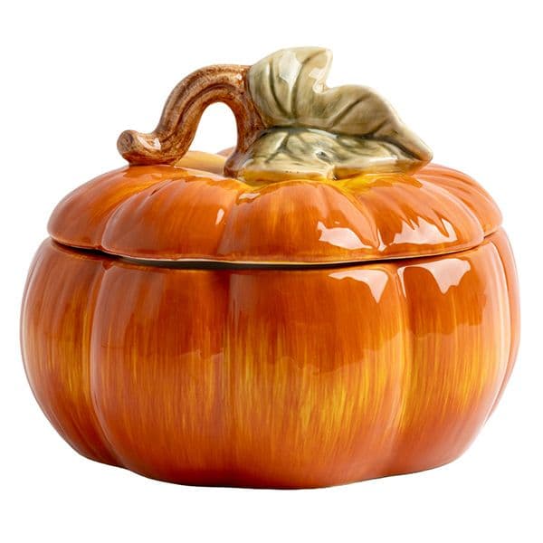 Ёмкость для хранения продуктов Anna Lafarg Bright pumpkin