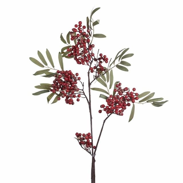 Ветка рябины Goodwill